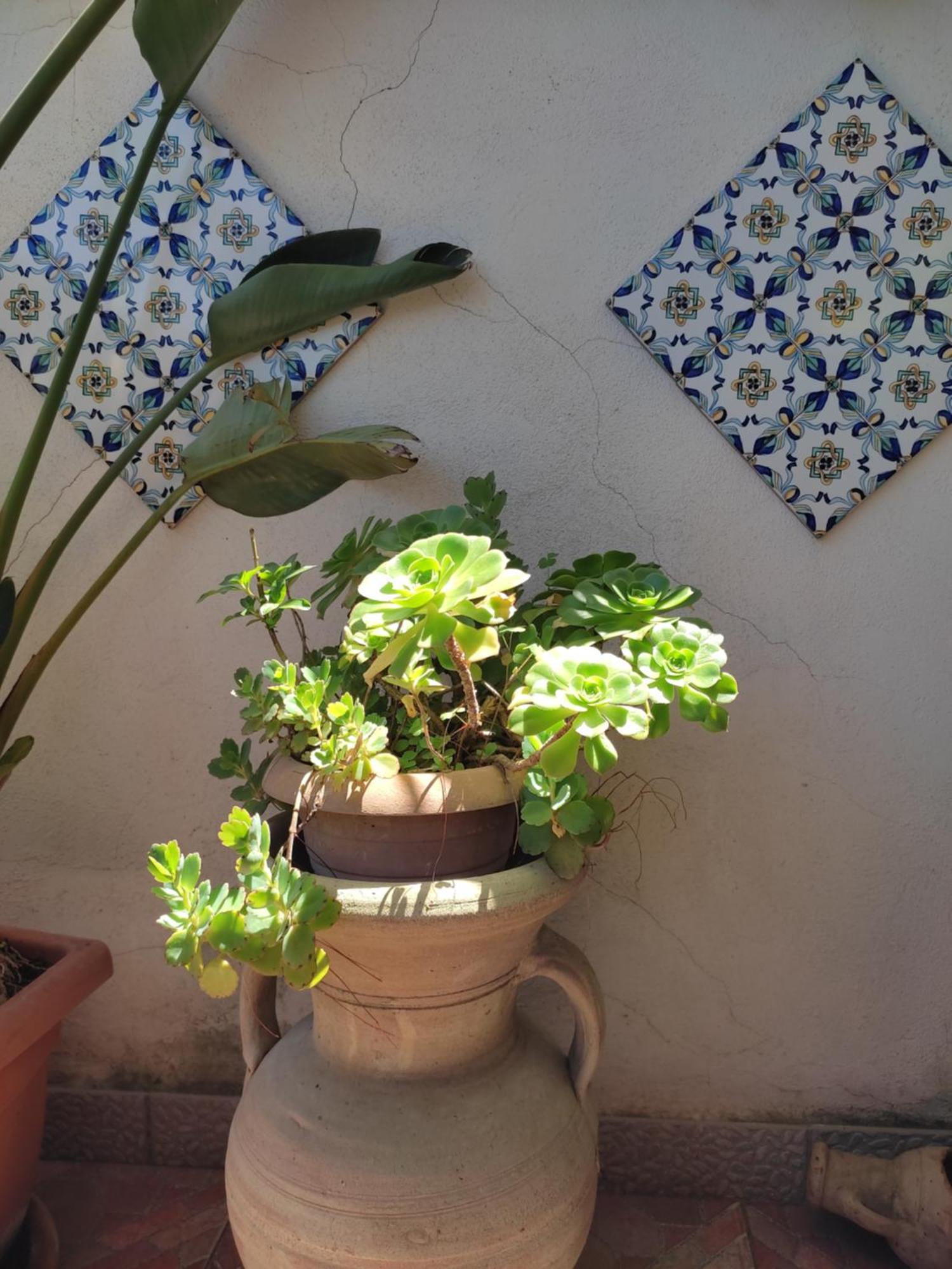 La Terrazza Di Massimo Appartement Palerme